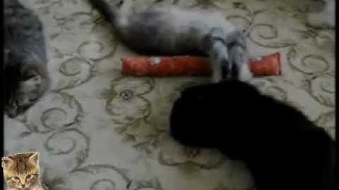 Kitty Kick Stix - Official Catnip Organic Toy