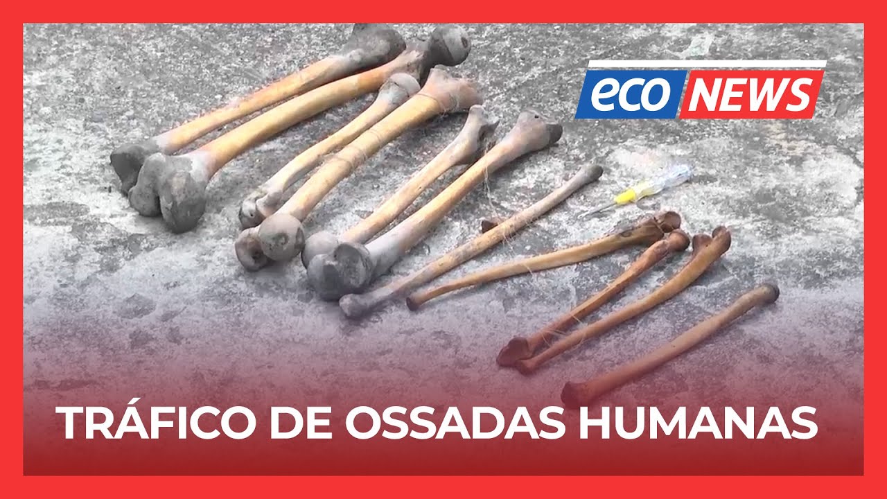 Supostos integrantes de uma rede criminosa detidos em Nampula