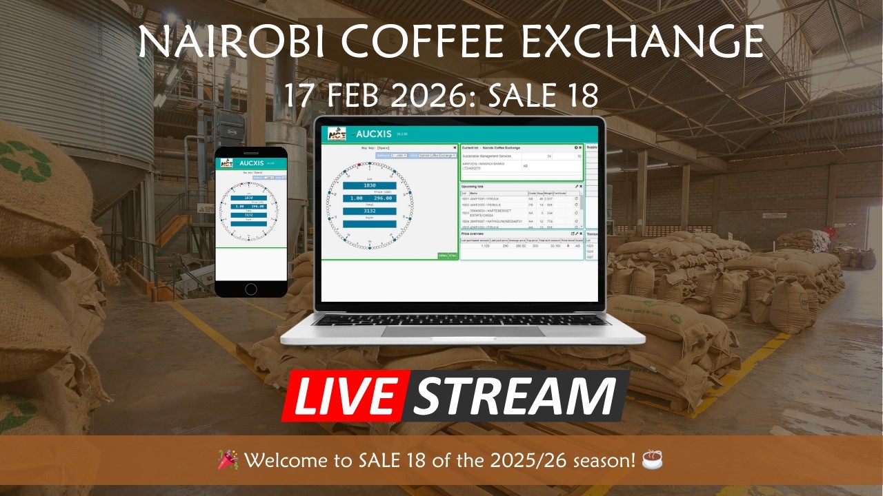 Sale 18 of season 25/26 Auction Livestream