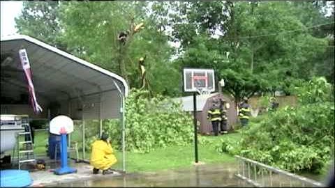 Tree Trimmer Has Close Call With Power Lines