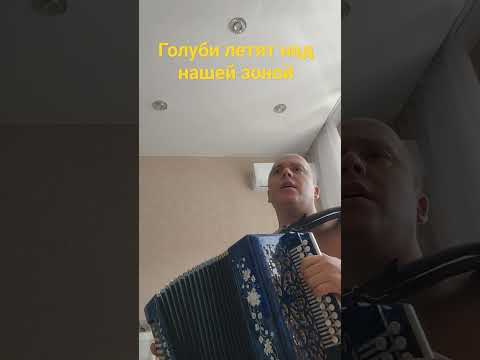 #гармонь #песня 'Голуби