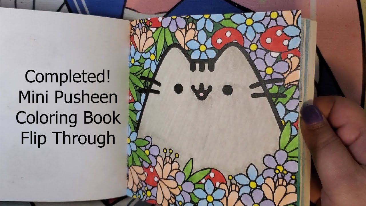 Completed Mini Pusheen Coloring Book Flip Through - YouTube