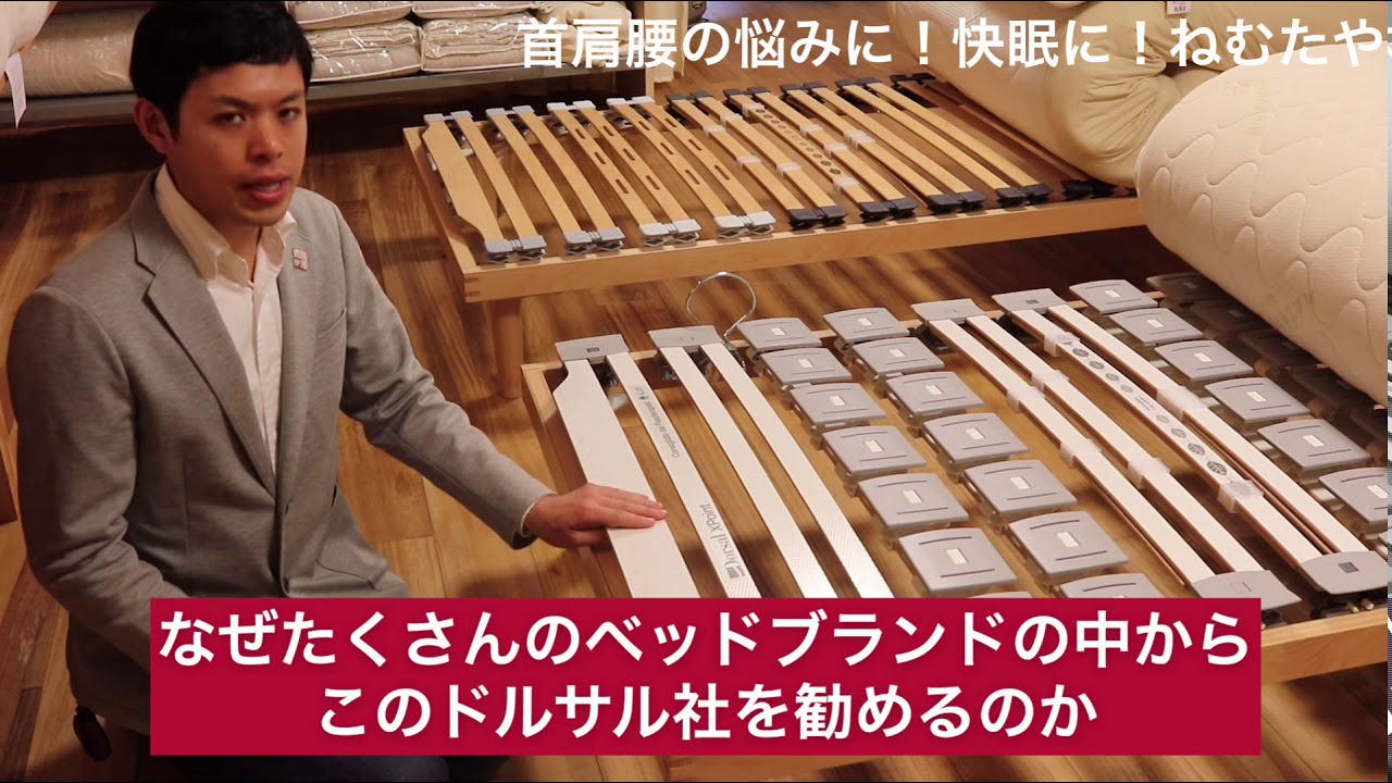 ドルサルディーナのリーフレット