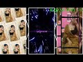 LAL GOLAPI GALL XML SONG, 🔰💞 // NEW TREND XML 👀💥!! NEW XML FILE #xml #trend #viral XML FILE BANGLA 🔰