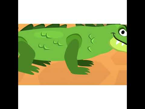 3 grade Animal types - YouTube