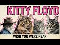 Kitty Floyd - Wish You Were Near (Pink Floyd Cat Parody)