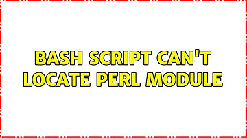 Bash script can