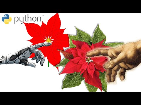 Flower #2 - GWIAZDA BETLEJEMSKA / Python Turtle Graphics