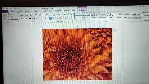 Computer Science Class 5          Chapter 3 - Advanced Microsoft Word Features