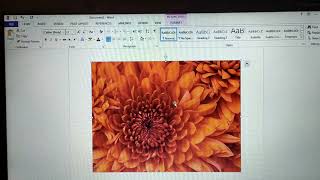 Computer Science Class 5          Chapter 3 - Advanced Microsoft Word Features