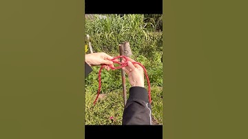 #51 nút thắt hữu ích #knot #diy #tutorial