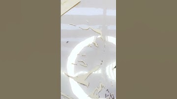 DIY Lightbox in Seconds: Timelapse Paste Cutted Parts - MIRA : Part 3 | dcrafts