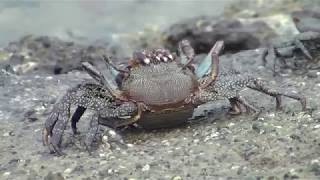 Rondreis Ecuador Djoser