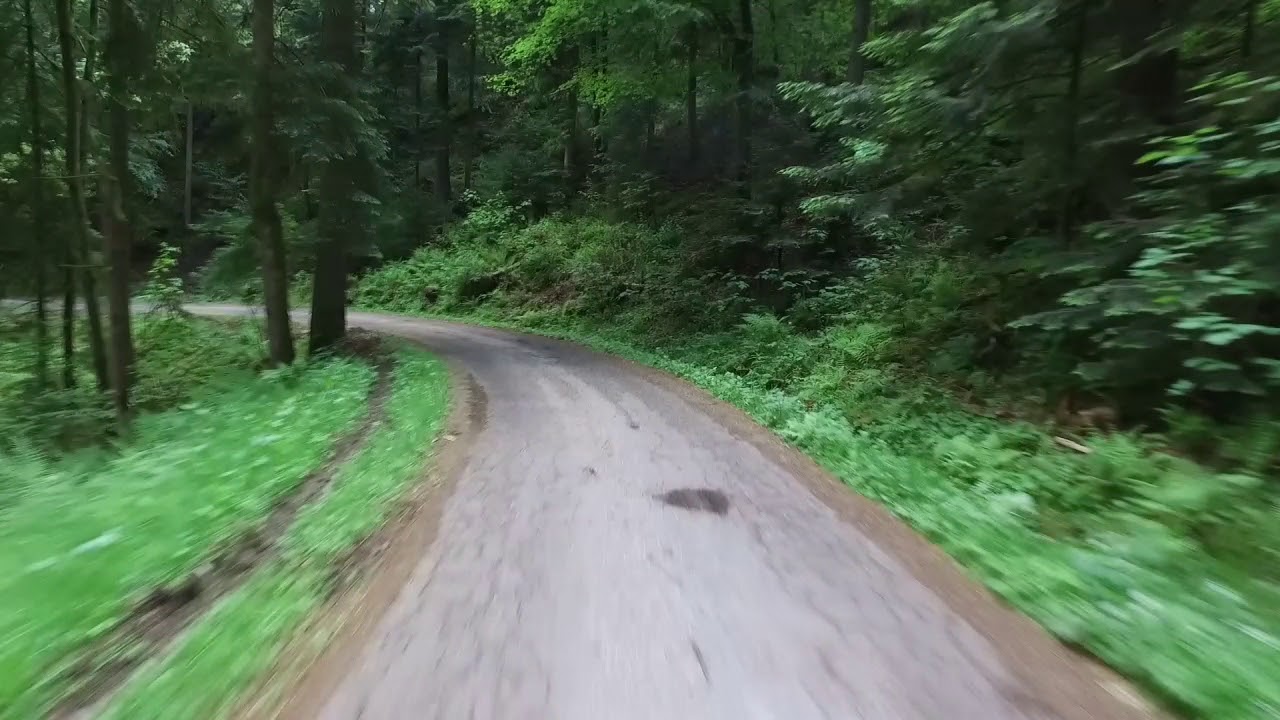 Mit dem Motorrad durch den Schwarzwald - Vortal über den Berg nach Schenkenzell
