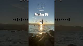 Baiboly manontolo - Matio 14