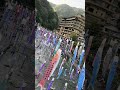「杖立温泉鯉のぼり祭」昼と夜 #熊本県 #小国町 #kyushu
