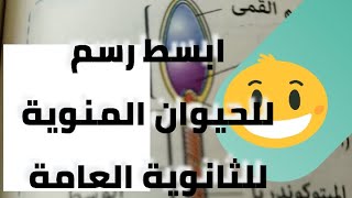 اسهل طريقة لرسم الحيوان المنوي