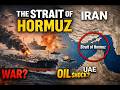 The $20 Billion Choke Point Inside the Strait of Hormuz Crisis #oilcrisis #iranisraelwar#oilandgas