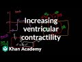 Increasing ventricular contractility - inotropic effect | NCLEX-RN | Khan Academy