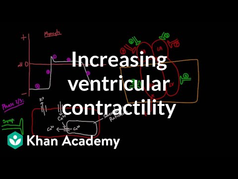 Increasing ventricular contractility - inotropic effect | NCLEX-RN | Khan Academy