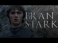 Bran stark  the three eyed raven got