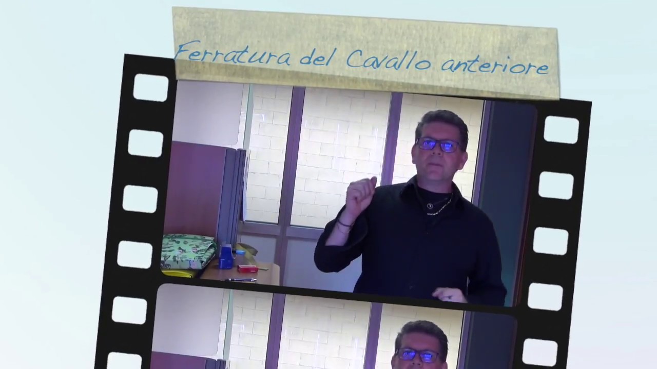 Ferratura del cavallo con ferri a due Barbette