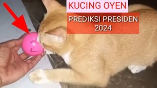 KUCING OYEN RAMAL PRESIDEN 2024 by Hewan & peliharaan 30 views 4 months ago 5 minutes, 50 seconds