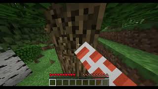 minecraft.hello.mp4