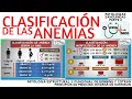 TIPOS DE ANEMIAS | GuiaMed