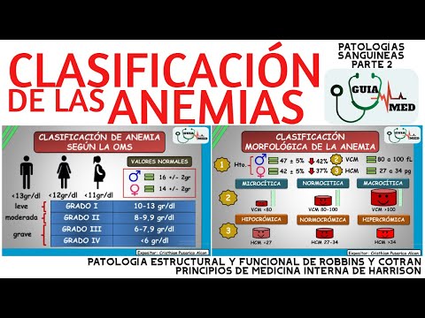 TIPOS DE ANEMIAS | GuiaMed