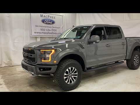 Gray 2020 Ford F-150 RAPTOR Review   - MacPhee Ford