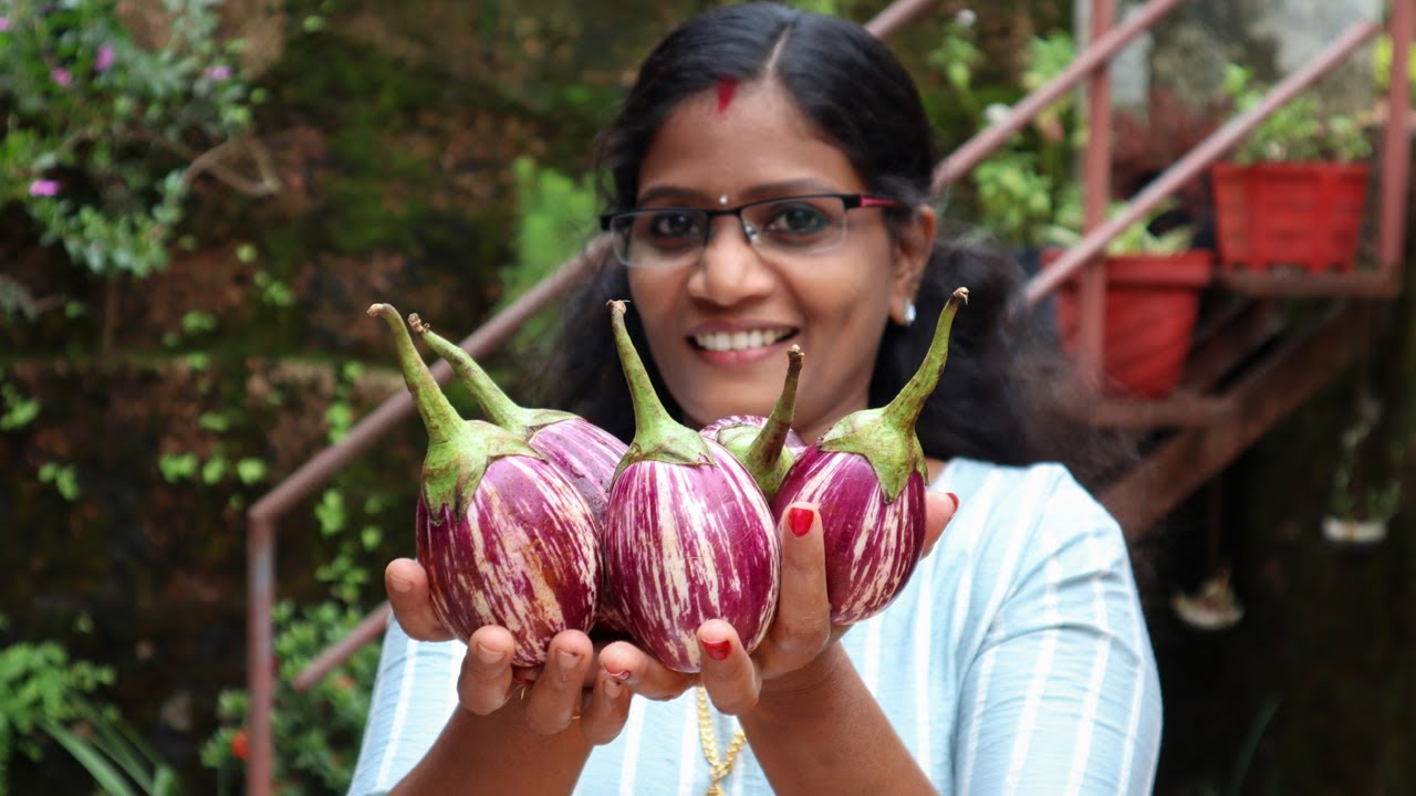 ഇത്ര രുചിയിൽ വഴുതന ഉണ്ടാക്കി കഴിച്ചിട്ടുണ്ടോ? | Kerala Style Brinjal Recipe | Cheerulli Media
