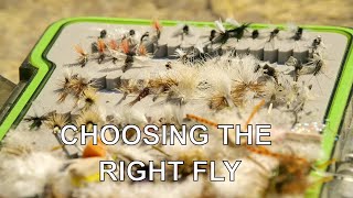 Choosing the Right Fly Pattern