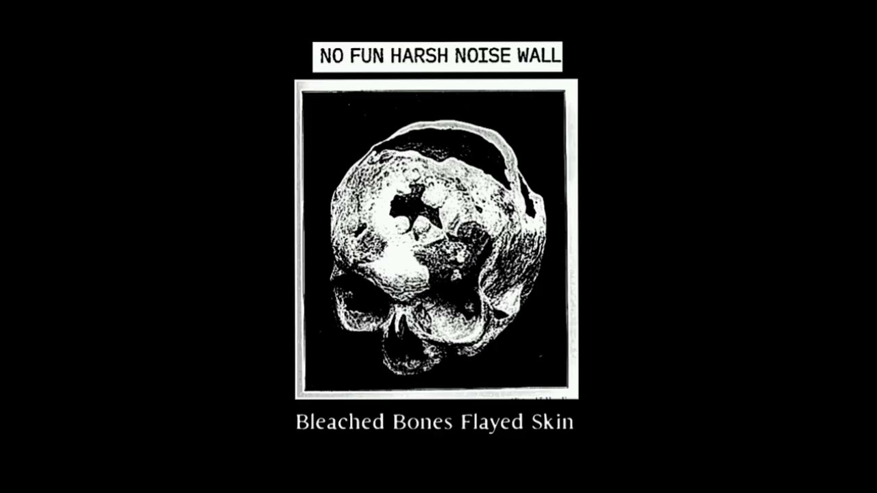 No Fun Harsh Noise Wall : Bleached Bones Flayed Skin