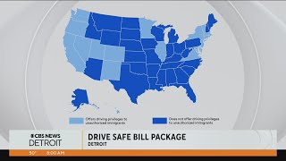 Michigan lawmakers pushing for driver's licenses for all