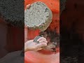 cr,asmranalmun black mud dirt crumbling asmr satisfying asmr pure #crunchycrumbles