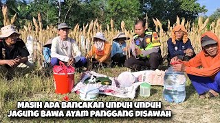 Pelosok Desa Masih Menjaga Tradisi \u0026 Budaya Inilah Momen Bancakan Unduh Unduh Jagung Di Sawah
