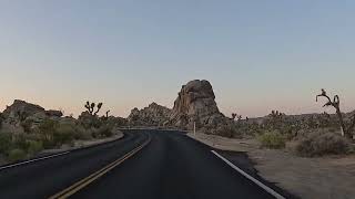 Chasing the Sunrise at Joshua Tree 🌄 #joshuatreenationalpark