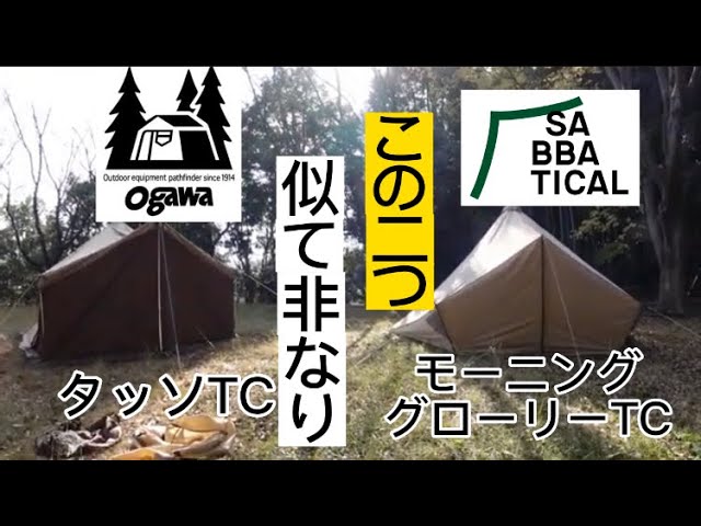 この２つのテント、似てるって⁉　　#タッソTC#モーニンググローリー#サバティカル#キャンパルジャパン