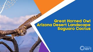 Great Horned Owl Arizona Desert Landscape Saguaro Cactus screenshot 5