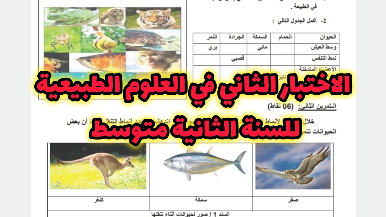 الاختبار الثاني في العلوم الطبيعية للسنة الثانية متوسط رقم 10