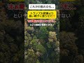 【マジか】習近平主席の椅子を高くした結果… #shorts