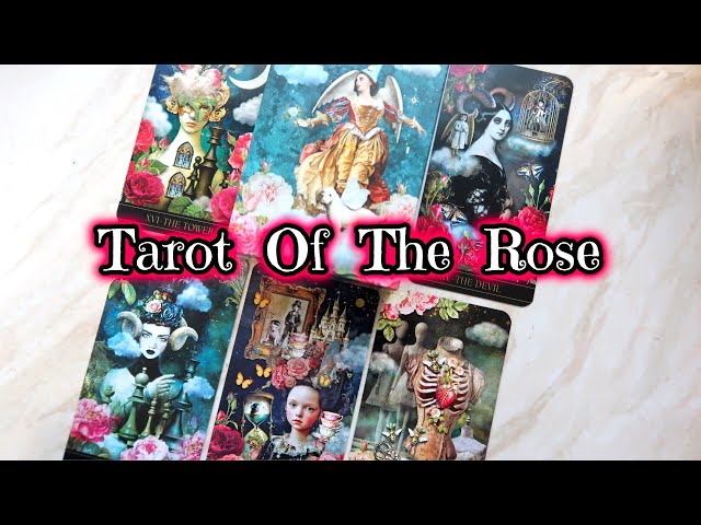Oracle of the Rose By Zera DeRose 薔薇のオラクル ゼラ・デローズ Tarot Of The Rose by Zera DeRose 🌹 Unboxing Cards, Review, Flip