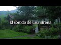 ひとりぼっちの僕たち - 美裕リュウ (Sub Espa&ntilde;ol) #Viral #tiktok #music #lyrics #live 