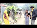 Ramlal mais special welcome ramlalcomedy comedy maithilicomedy fatherinlaws honor