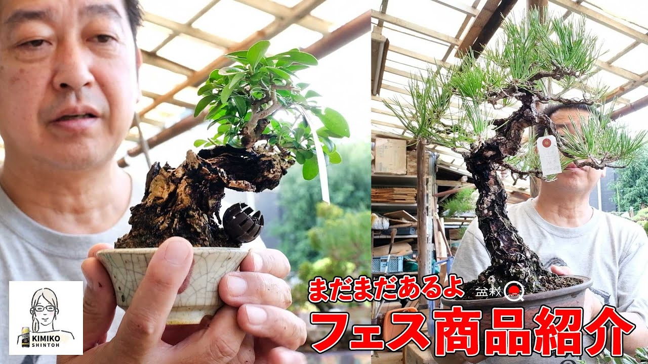 Fest] Introducing the products of Bonsai class students and Kimiko