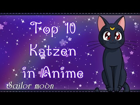 Video: Welche Animes Wurden über Katzen Gedreht?