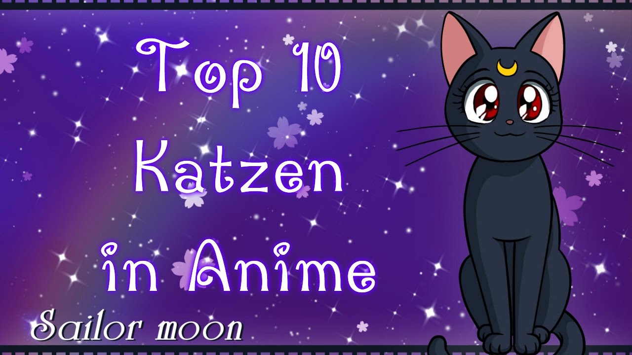 Meine Top 10 Katzen In Anime