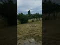 it was so close Latitude °64 Mercy #discgolf #latitude64