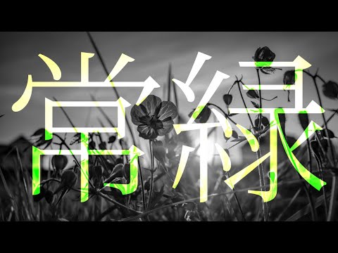 大橋ちっぽけ/常緑 - 歌ってみた【MILO】